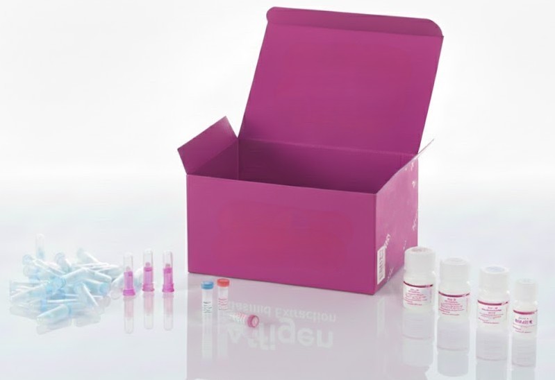 [0544-MBS7217151-96T] Kit ELISA CA 27-29: Antígeno contra el Cáncer Canino 27-29 (CA 27-29) Kit ELISA 96T